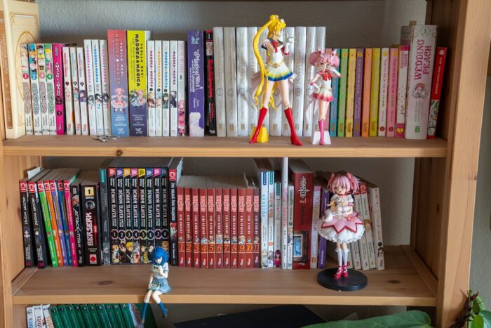 Anime Figuren reinigen und pflegen Regal
